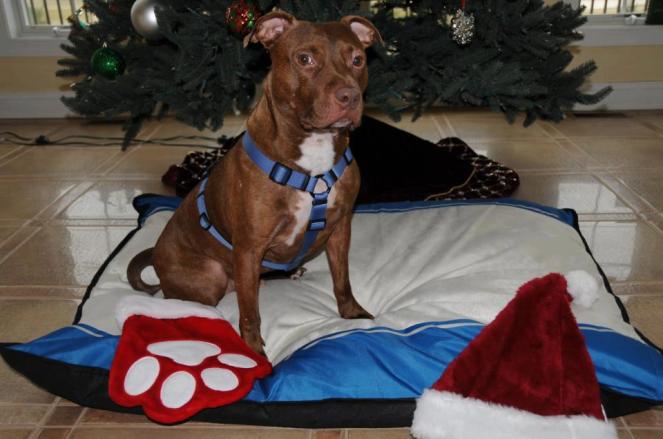 Beautiful, beautiful, beautiful ... beautiful boy!!