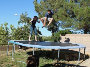 kids on a trampoline! lol