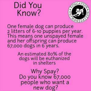 10848046_10153707950799460_4127304268764396753_n